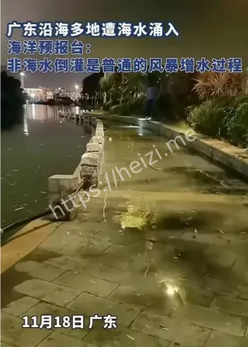 广东吴川台风海水倒灌